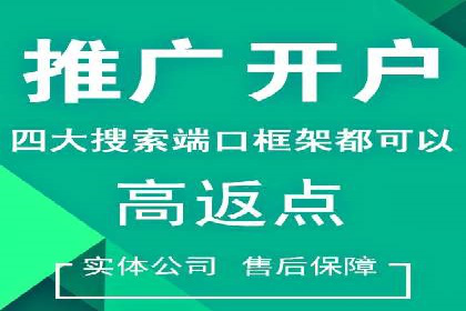 电商成功案例：竞价推广助力品牌崛起
